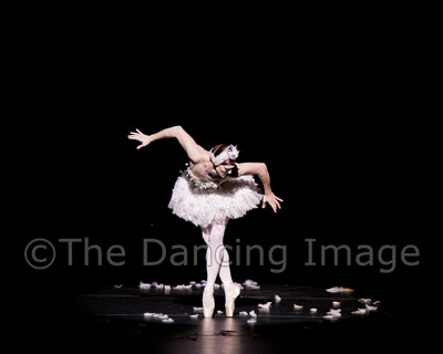 Dying Swan-0549