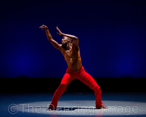 Alvin Ailey ADT-0092