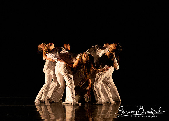FW Academy of Fine Arts pc Sharen Bradford-2903