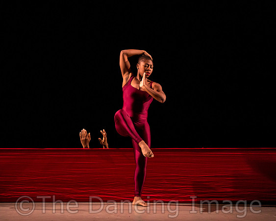 DBDT Encore-8648