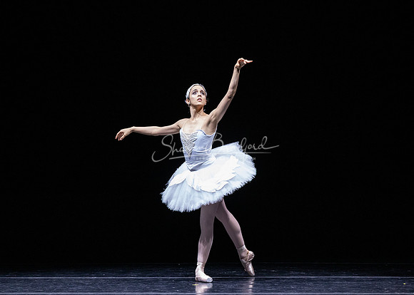 Dying Swan pc Sharen Bradford-1266
