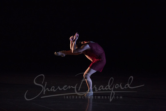 Bloom pc Sharen Bradford-9184