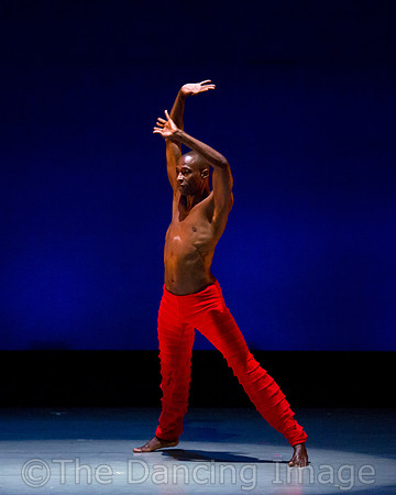 Alvin Ailey ADT-0017