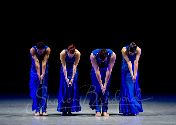Following Echoes - pc Sharen Bradford-3270