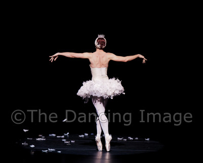 Dying Swan-0505