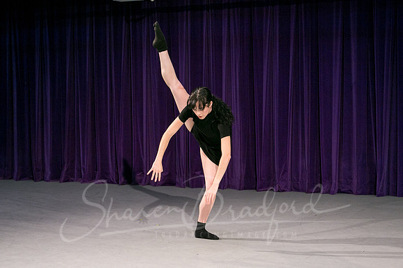 Gold Shadow pc Sharen Bradford-1712