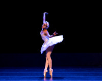 Dying Swan pc Sharen Bradford-1174