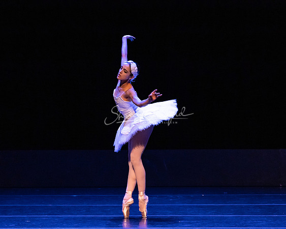 Dying Swan pc Sharen Bradford-1174