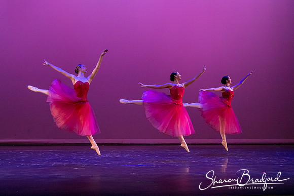 Waltz of the Flowers pc Sharen Bradford-2860