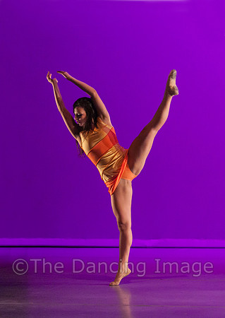 IMG_0817-Edit-2