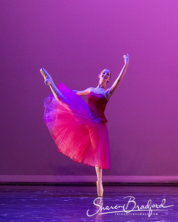 Waltz of the Flowers pc Sharen Bradford-2830