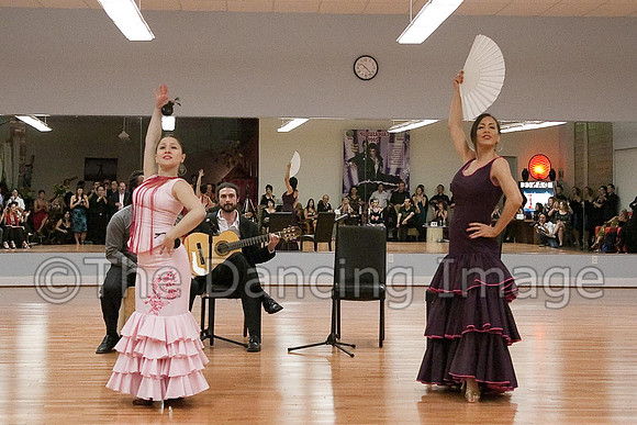 Flamenco-2-84