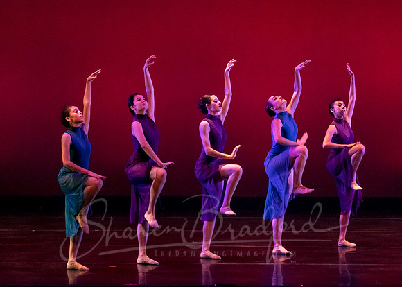 Ballet Frontier pc Sharen Bradford-3321