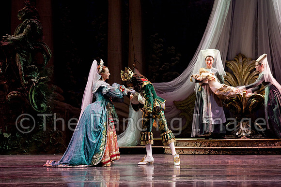 TB Sleeping Beauty Wed.-0008