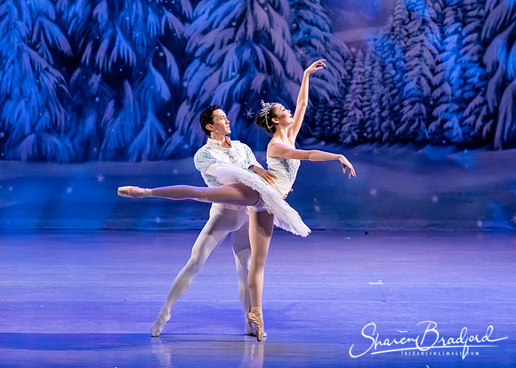 CCBT Nutcracker 19 pc Sharen Bradford-4844