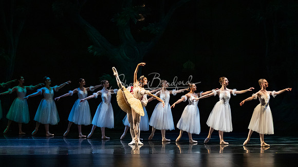 Ballet NTX Sleeping Beauty pc Sharen Bradford-1308