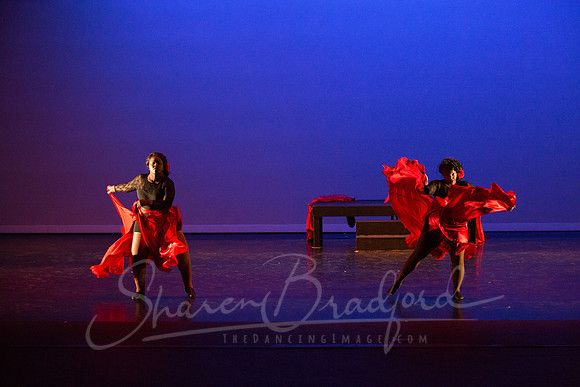 Bajo la Tormenta pc Sharen Bradford-0258