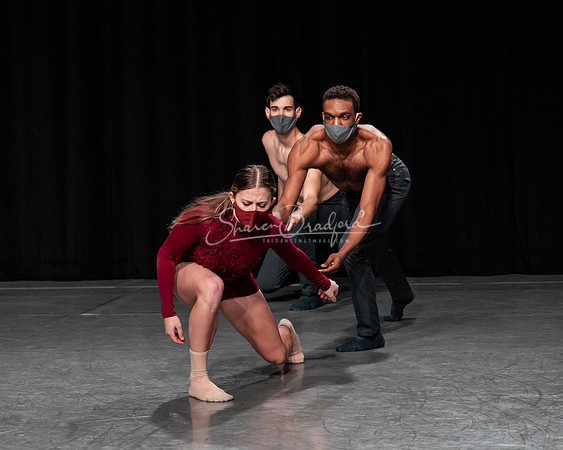 Roses 2021 pc Sharen Bradford-1113