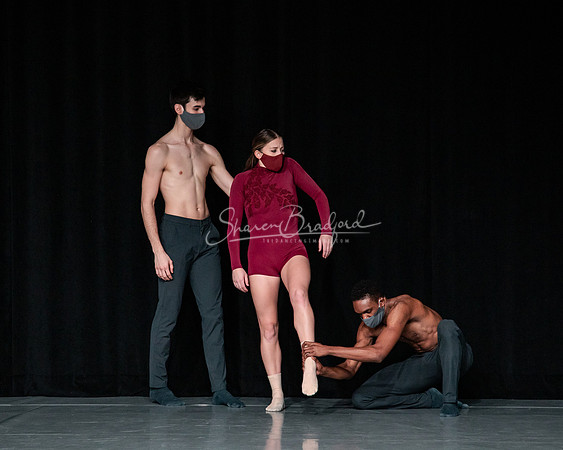 Roses 2021 pc Sharen Bradford-1111