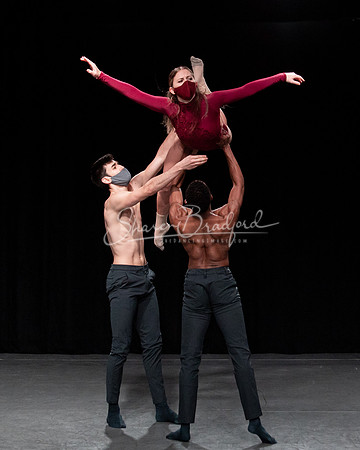 Roses 2021 pc Sharen Bradford-1017
