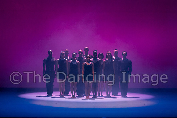DBDT Smoke-2079