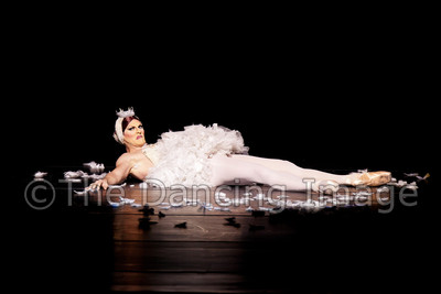 Dying Swan-0534