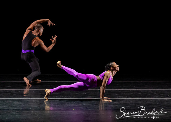 DBDT Execution of a Sentiment pc Sharen Bradford-0993