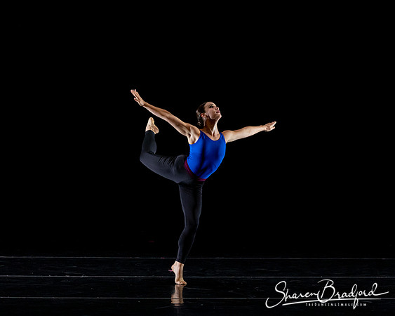 DBDT Execution of a Sentiment pc Sharen Bradford-1043