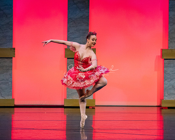Ballet NTX Sleeping Beauty pc Sharen Bradford-0150
