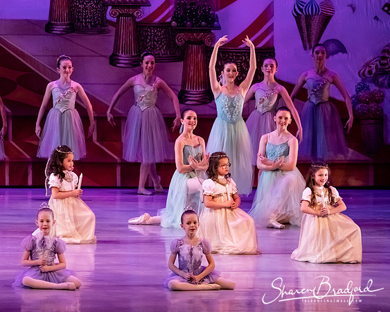 CCBT Nutcracker 19 pc Sharen Bradford-5359
