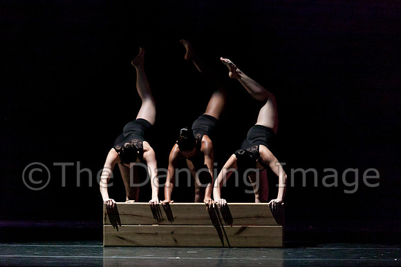 Beaumont Ballet Theatre-4619