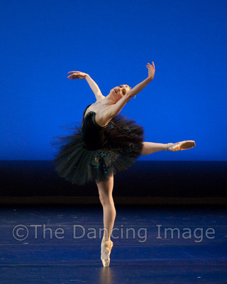 Black Swan-1209