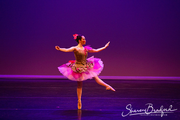 Clara's Dream 2019 pc Sharen Bradford-0048