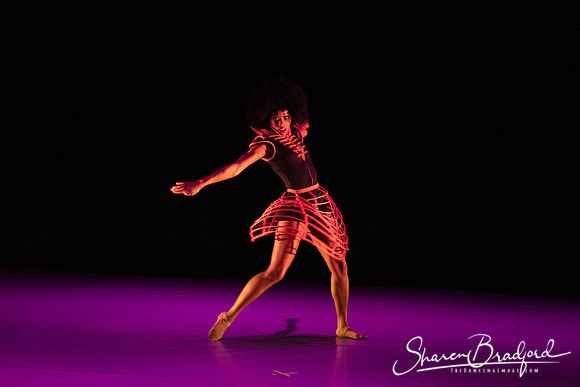 NISSI pc Sharen Bradford-3612