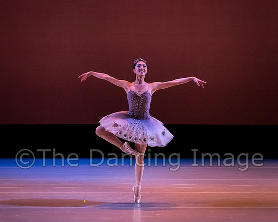 Le Corsaire-3064