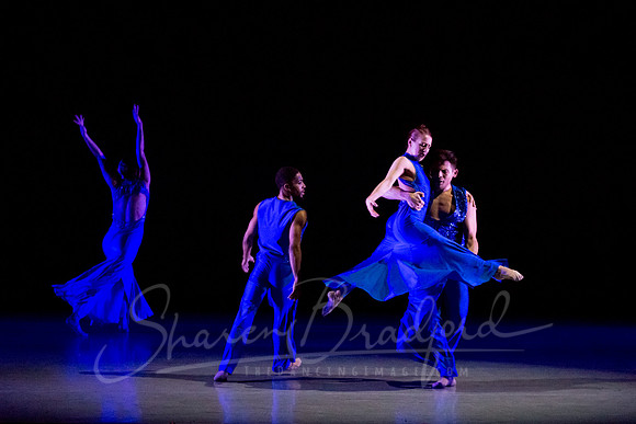 Following Echoes - pc Sharen Bradford-3323