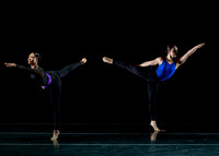 DBDT Execution of a Sentiment pc Sharen Bradford-0887