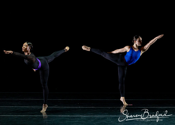 DBDT Execution of a Sentiment pc Sharen Bradford-0887
