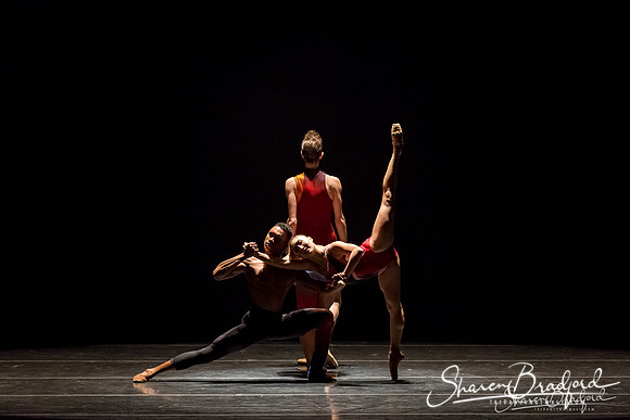 Stardust-pc Sharen Bradford-1101