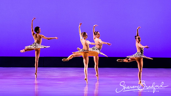 Ballet 37 pc Sharen Bradford-0403