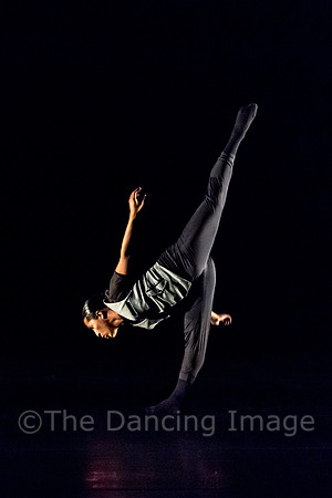 NobleMotion-2586