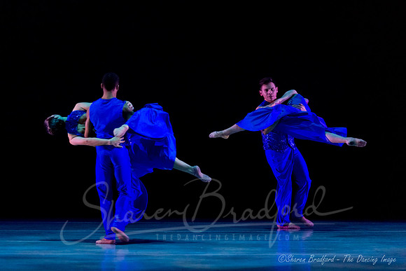 Following Echoes - pc Sharen Bradford-0843