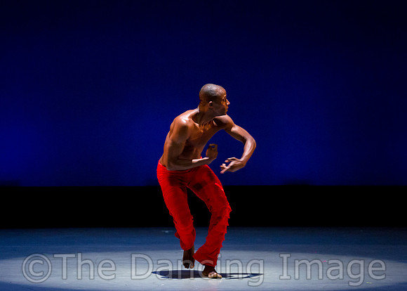 Alvin Ailey ADT-0061