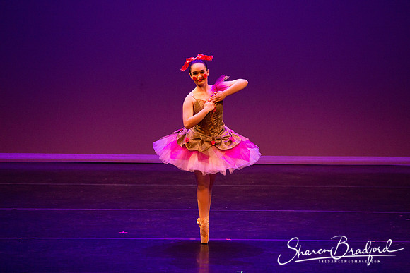 Clara's Dream 2019 pc Sharen Bradford-0073