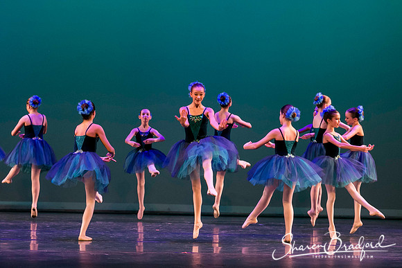 Khachaturian Waltz pc Sharen Bradford-3660