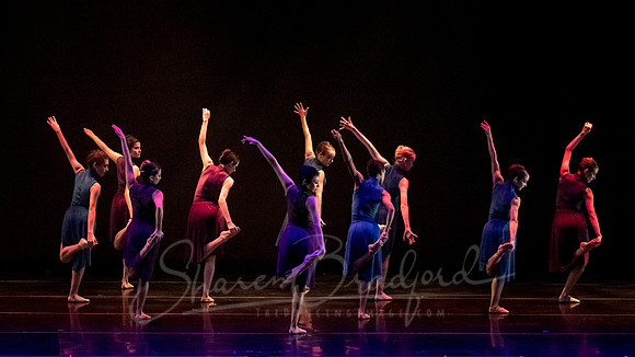 Ballet Frontier pc Sharen Bradford-3292