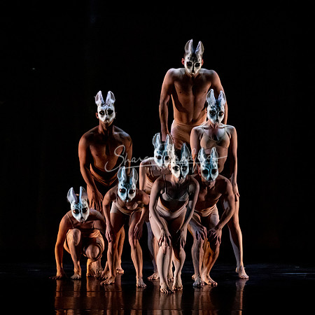Momix ALICE 9-17-21 pc Sharen Bradford-1483