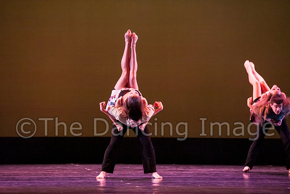Bay Area Houston Ballet-1018