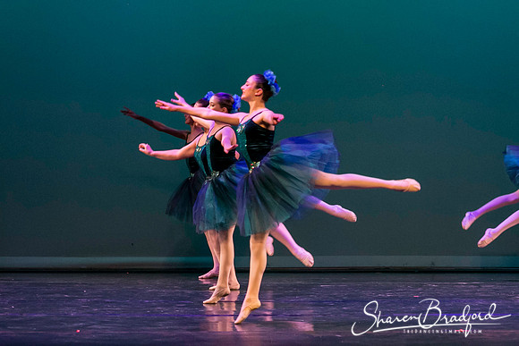 Khachaturian Waltz pc Sharen Bradford-3649