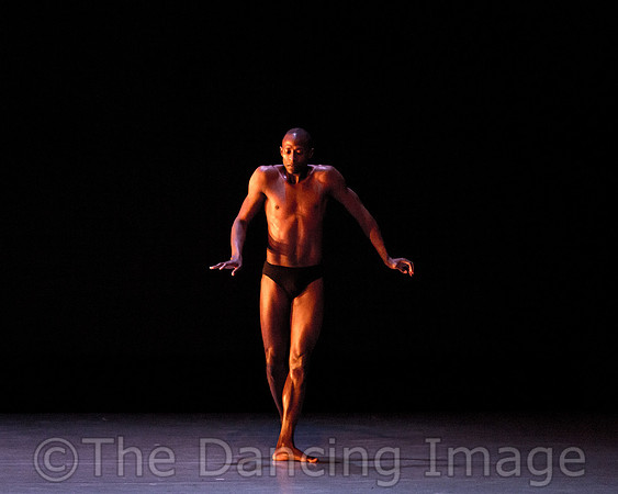 Alvin Ailey ADT-2260